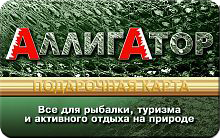 Аллигатор